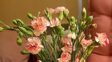 Fresh flowers on a café table
